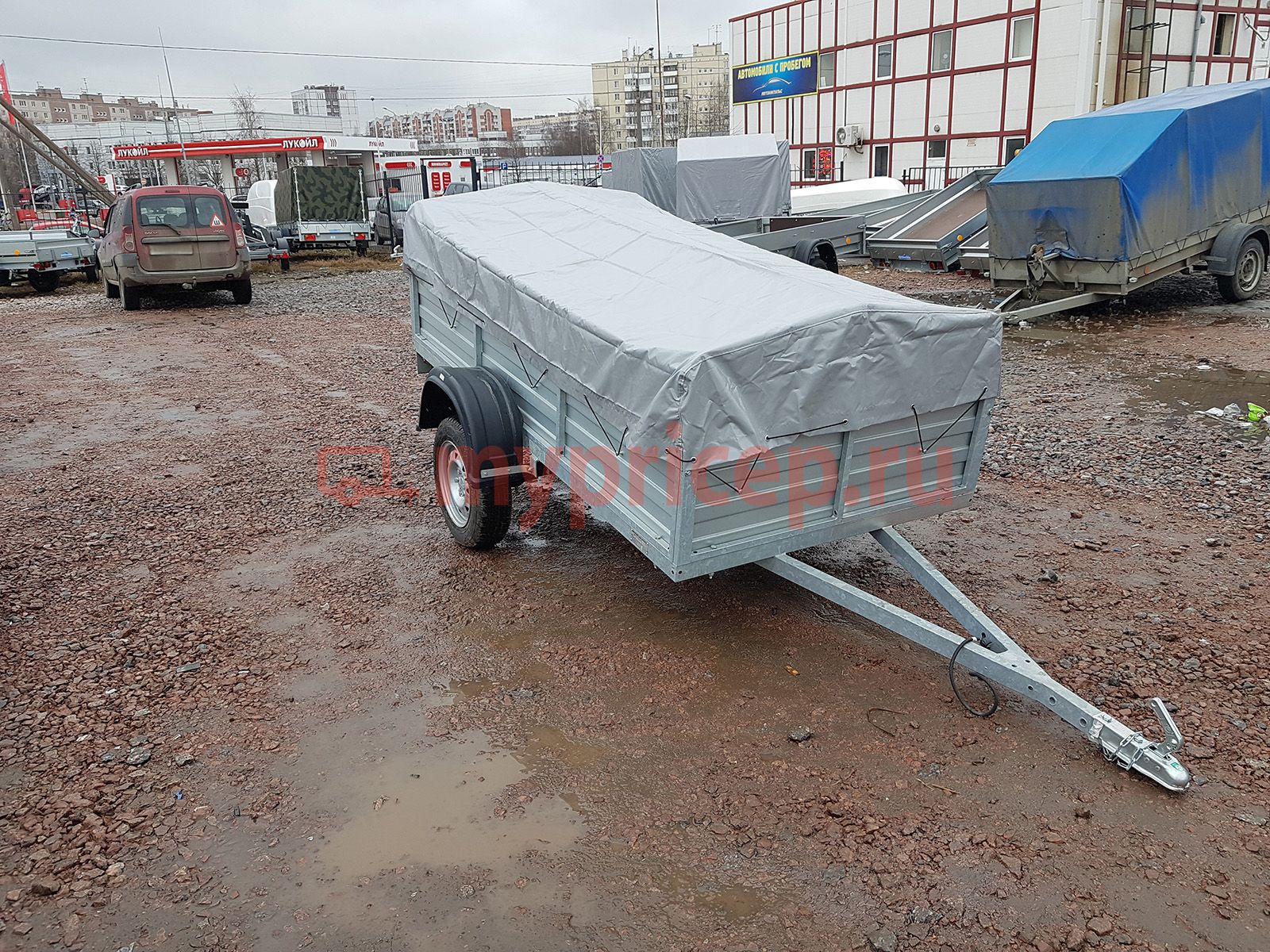 Русич 253