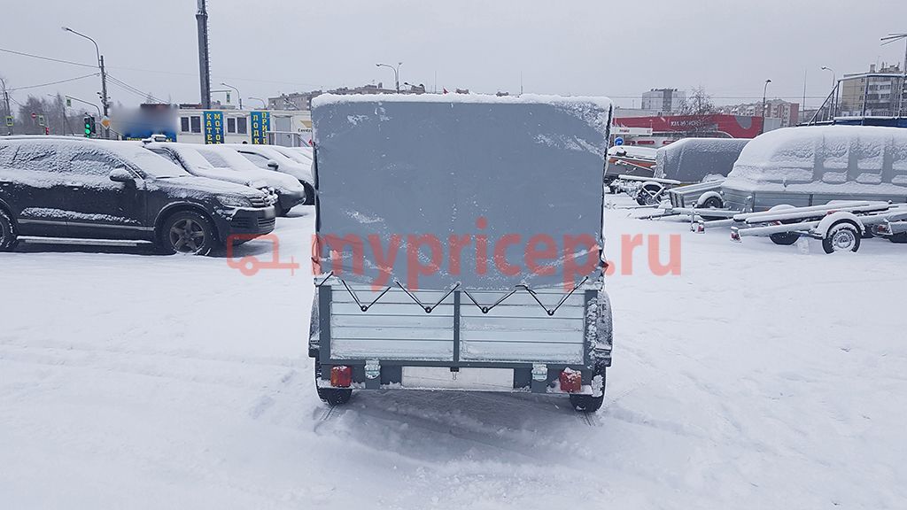 Славич 203