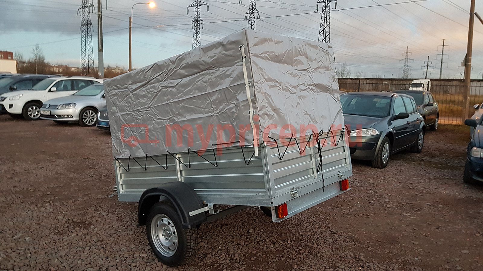 Русич 203