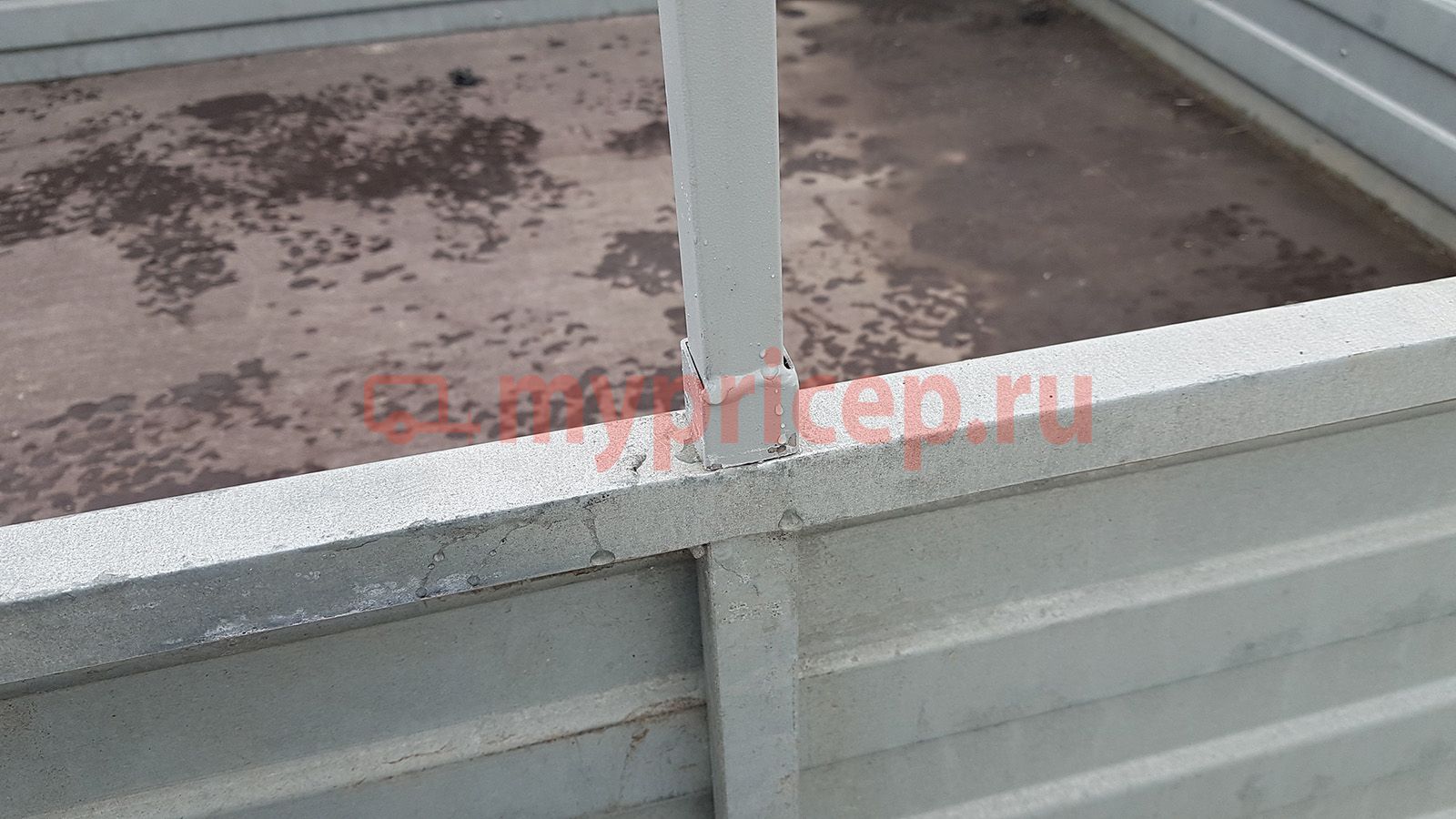 Русич 255