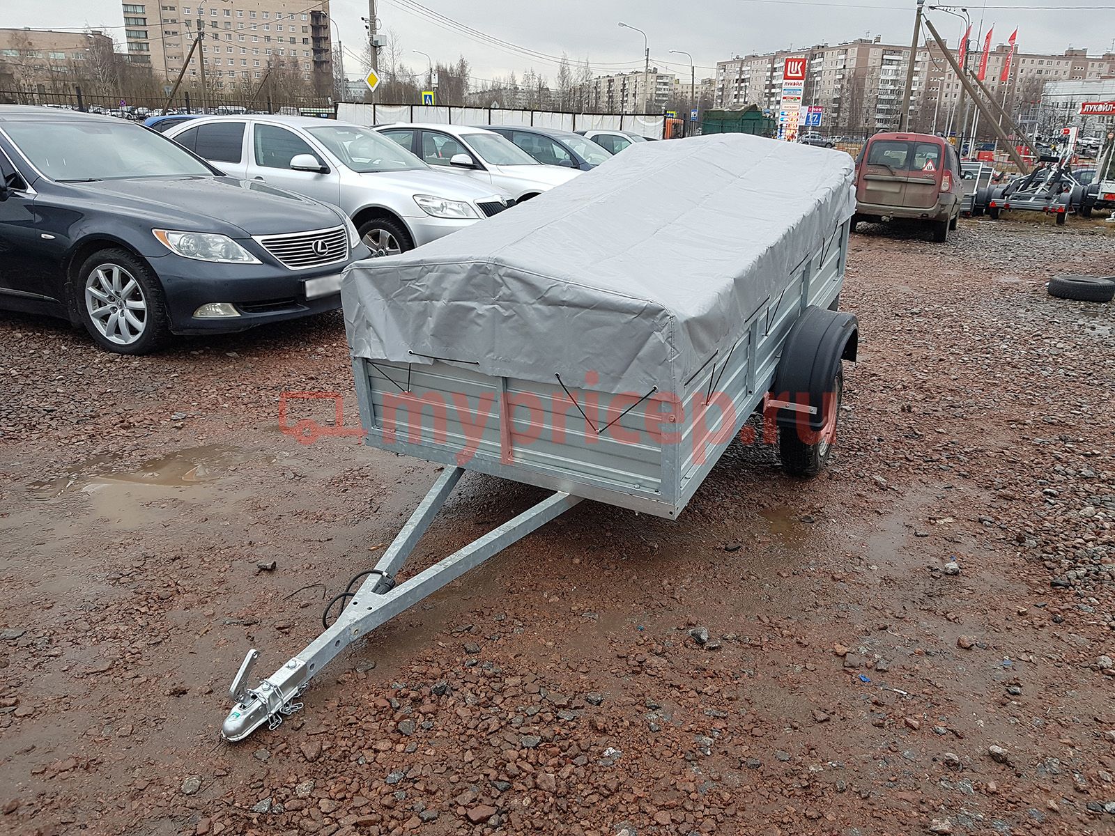 Русич 253