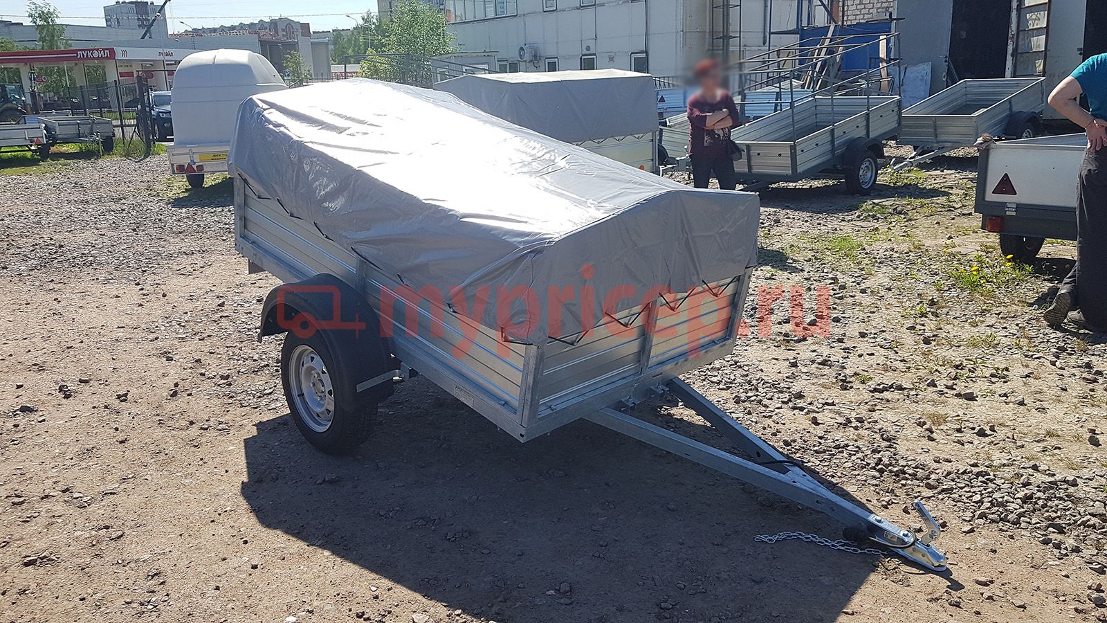 Русич 203