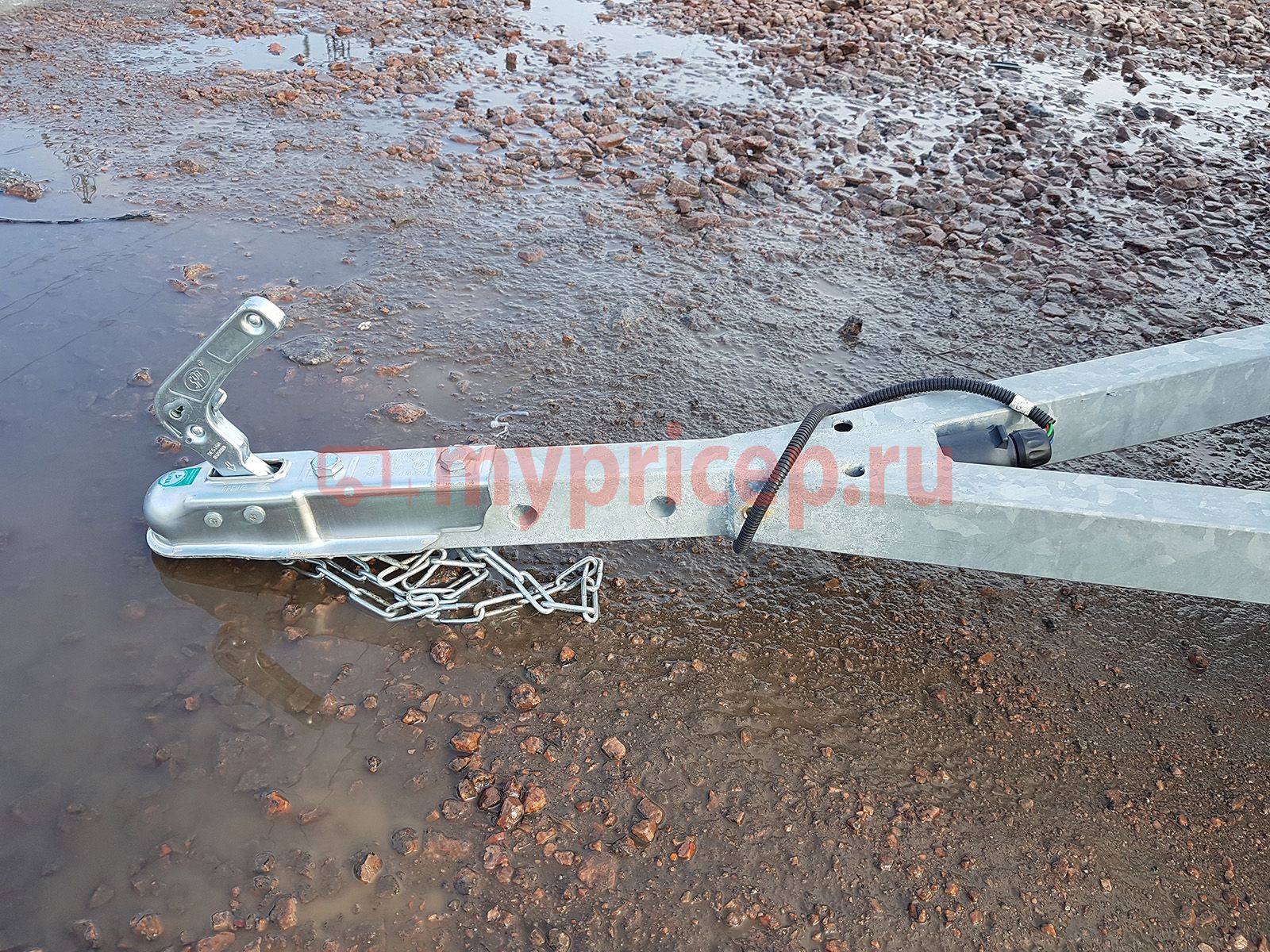Русич 253